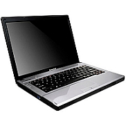 3000 G530